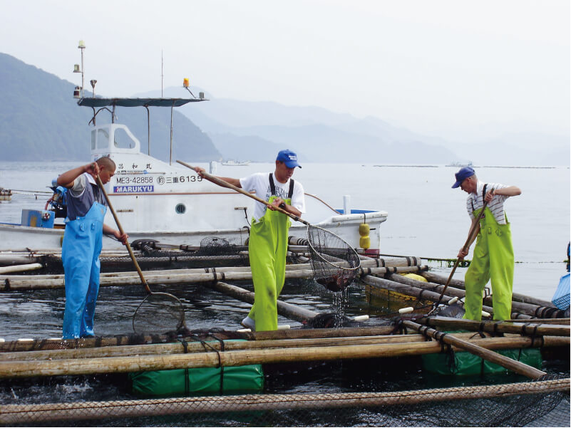 伊勢まだいとは
